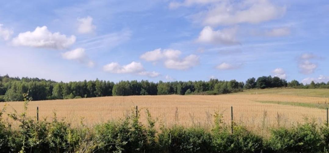 Zielony-Bursztyn Objazda-Kolonia Exterior foto